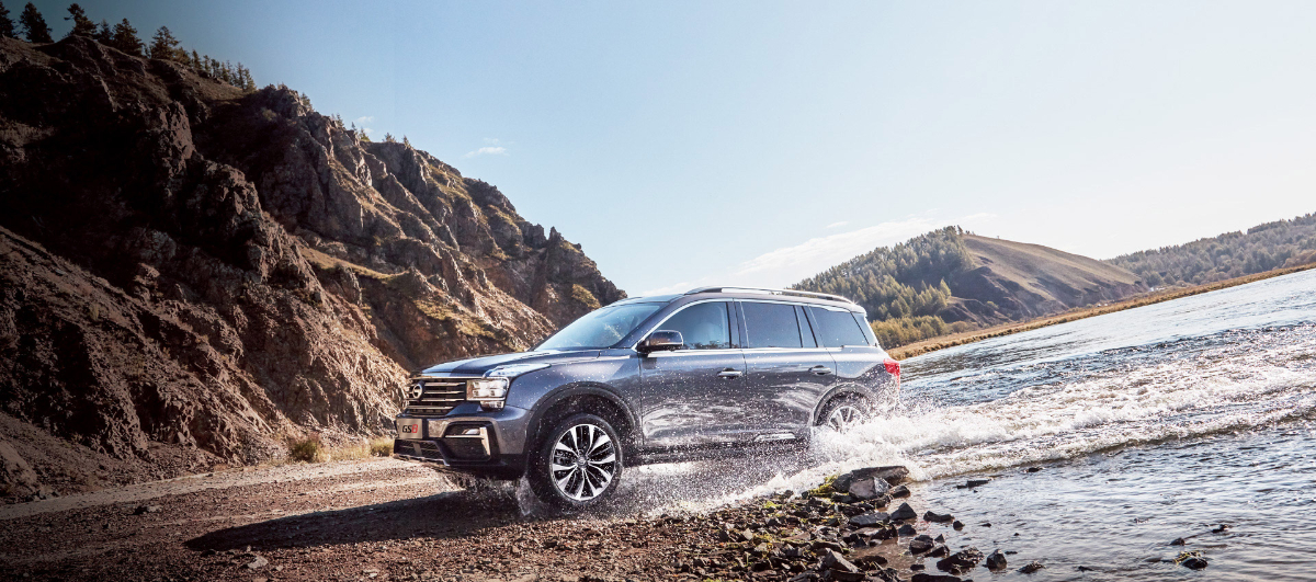 جي-ايه-سي-جي-اس-8-3