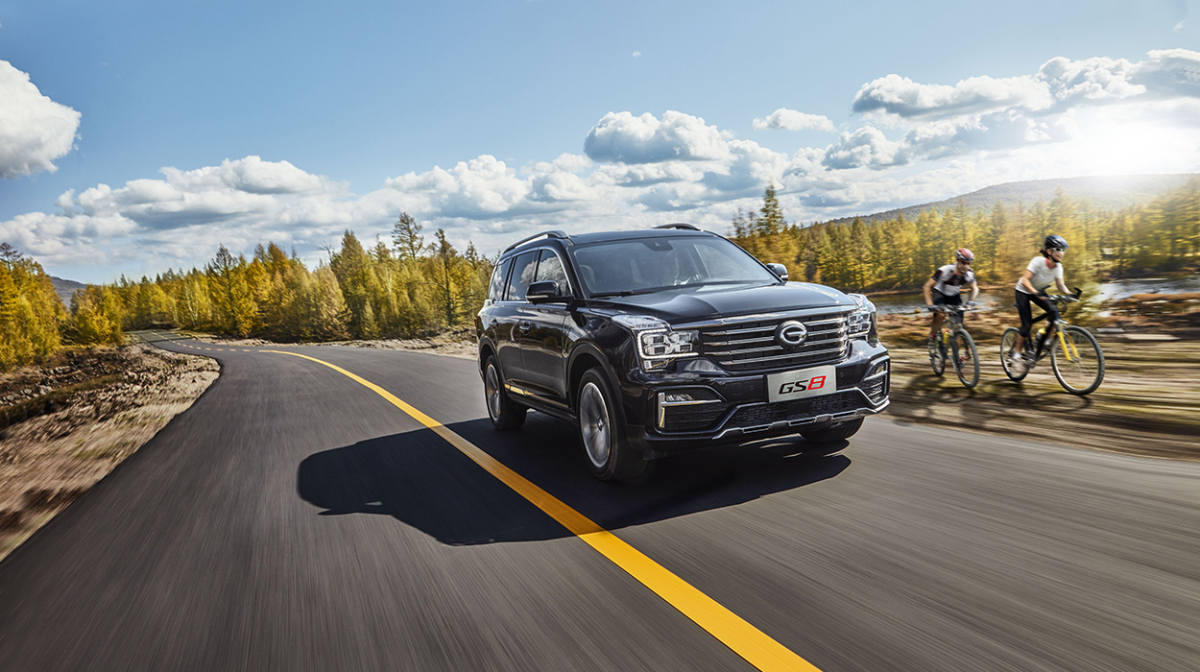 جي-ايه-سي-جي-اس-8-5