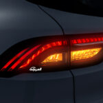 جيلي-أوكافانجو-2022-1