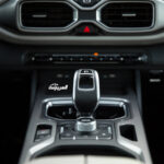 جيلي-أوكافانجو-2022-44