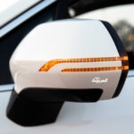 جيلي-أوكافانجو-2022-47