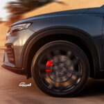 جيلي-توجيلا-2022-16