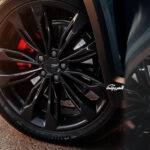 جيلي-توجيلا-2022-17