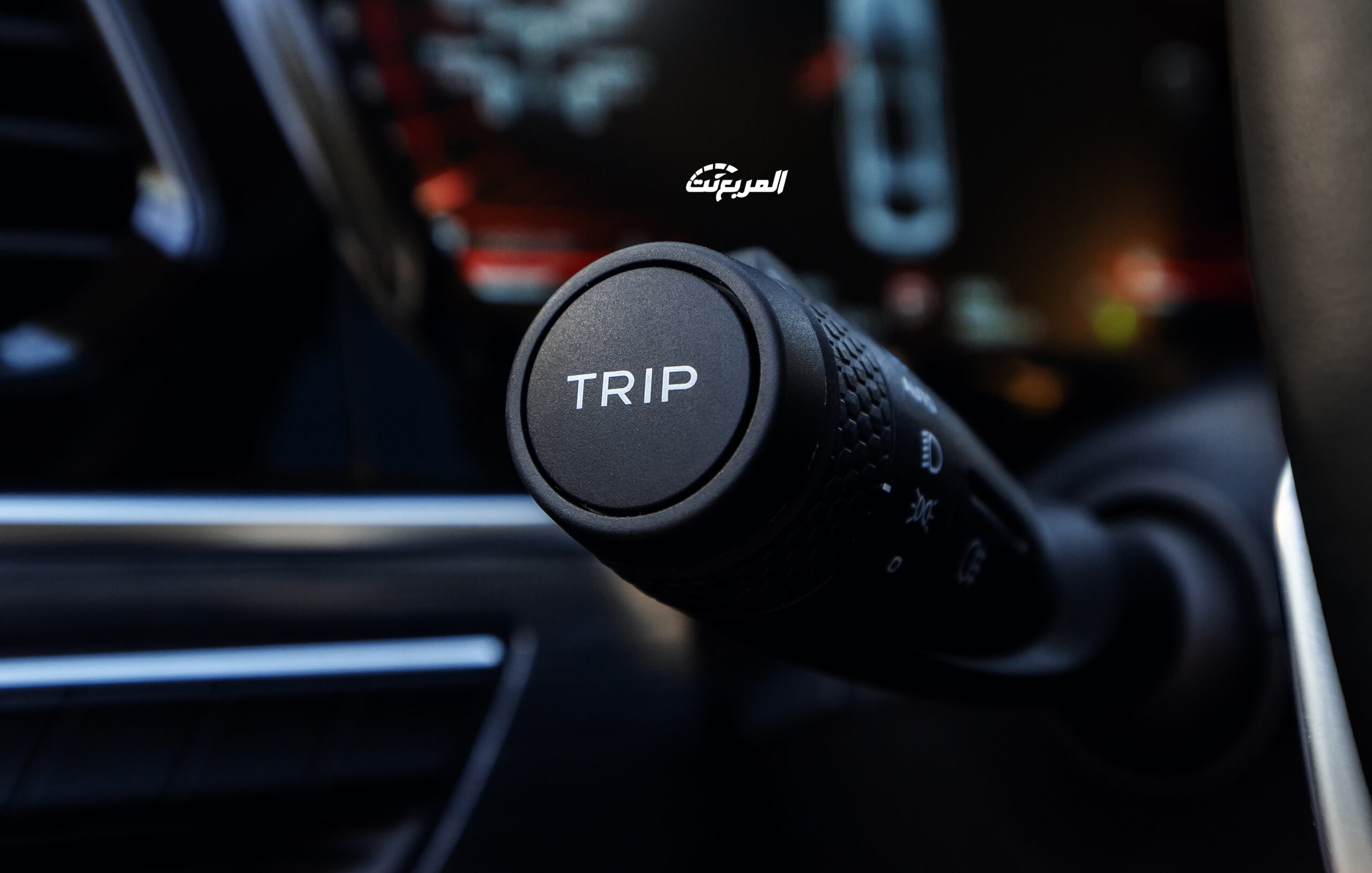 جيلي-توجيلا-2022-21