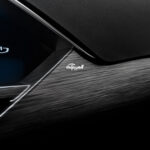 جيلي-توجيلا-2022-22