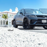 جيلي-توجيلا-2022-4