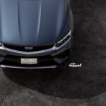 جيلي-توجيلا-2022-51