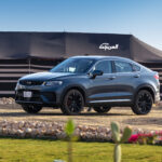 جيلي-توجيلا-2022-66