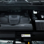 جيلي-كولراي-2022-52