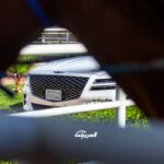 جينيسيس-جي-في-2022-52