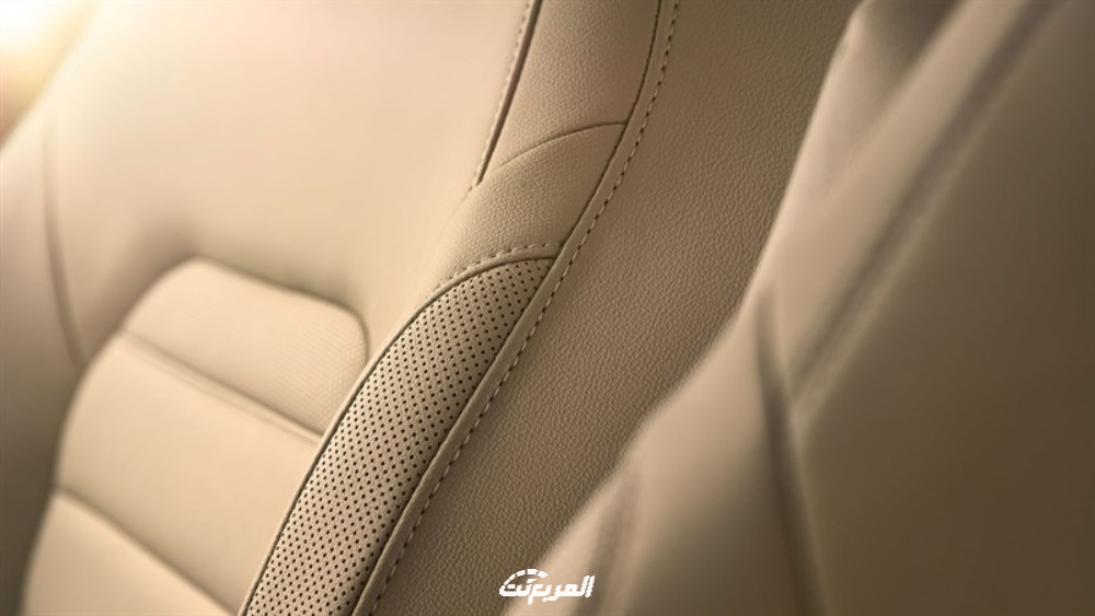 رينو-داستر-2022-3