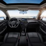 شانجان-ألسفن-2022-3