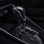 شانجان-ألسفن-2022-7