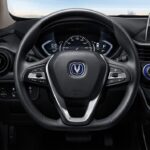 شانجان-ألسفن-2022-8