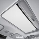 بايك-d50-2022-15