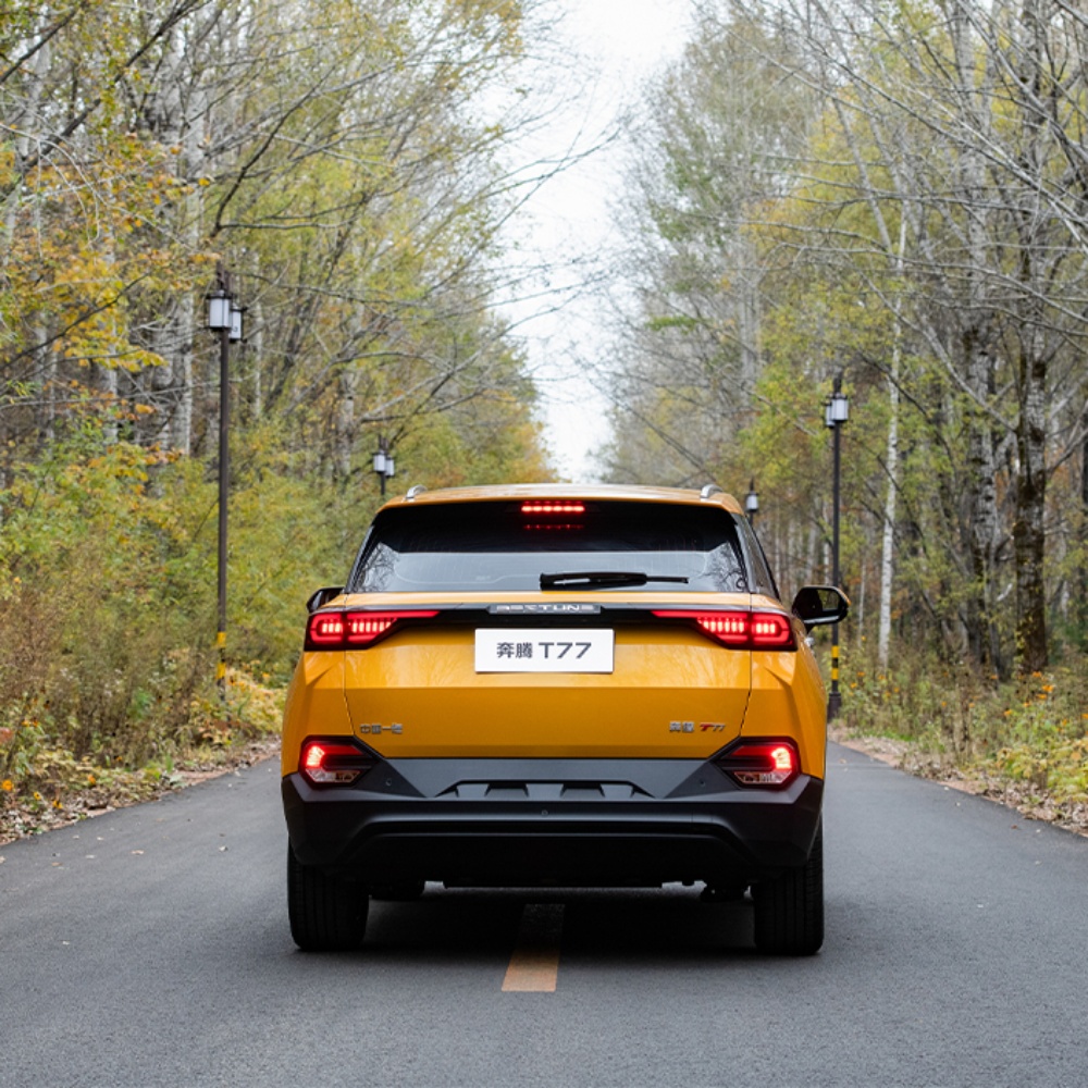 بيستون-t77-2022-3