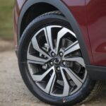 سانج-يونج-تيفولي-2022-20