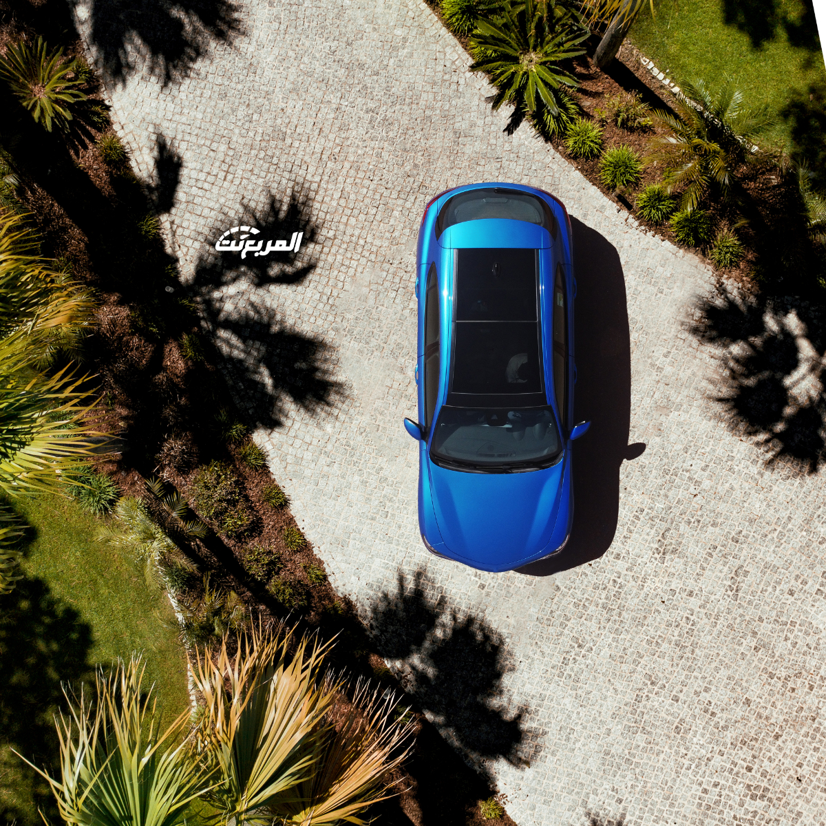 الفاروميو-ستلفيو-2022-المربع-نت-32