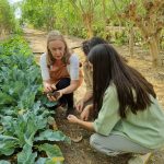 كيا تُطلق حملة توعوية تحت شعار"دورة الحياة" بالتعاون مع " The Waste Lab" للتوعية بفوائد إعادة تدوير مخلفات الطعام إلى سماد عضوي 2