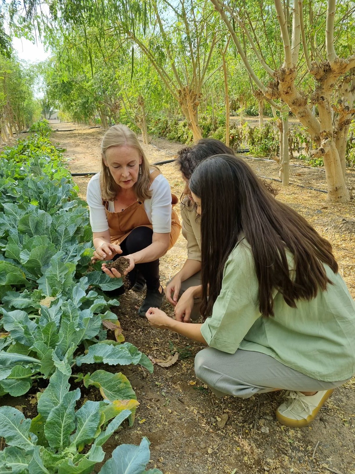 كيا تُطلق حملة توعوية تحت شعار”دورة الحياة” بالتعاون مع ” The Waste Lab” للتوعية بفوائد إعادة تدوير مخلفات الطعام إلى سماد عضوي