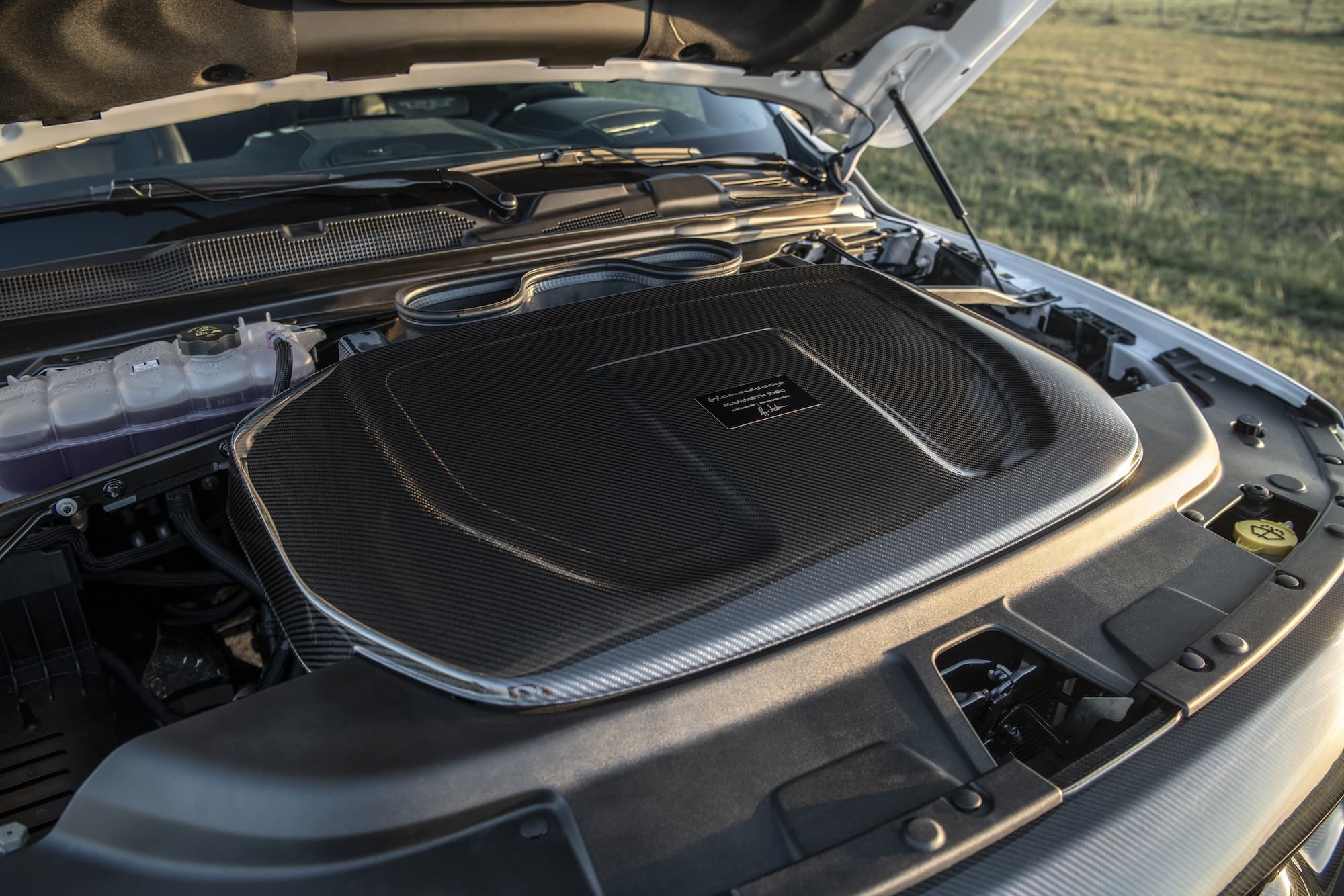 هينيسي ماموث 1000 TRX 