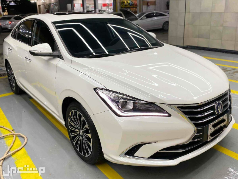 تصميم شانجان ايدو 2020 