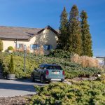 ميني-كونتري-مان-2023-المربع-نت-2-8