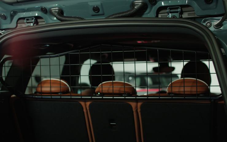 الحيوانات الأليفة تحب سيارات ميني لهذه الأسباب الحيوانات الأليفة تحب سيارات ميني لهذه الأسباب 2