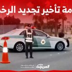 مخالفة تأخير تجديد الرخصة في السعودية.. انتبه لهذه الأمور