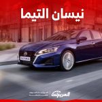 التيما ٢٠٢٤ ستاندر
