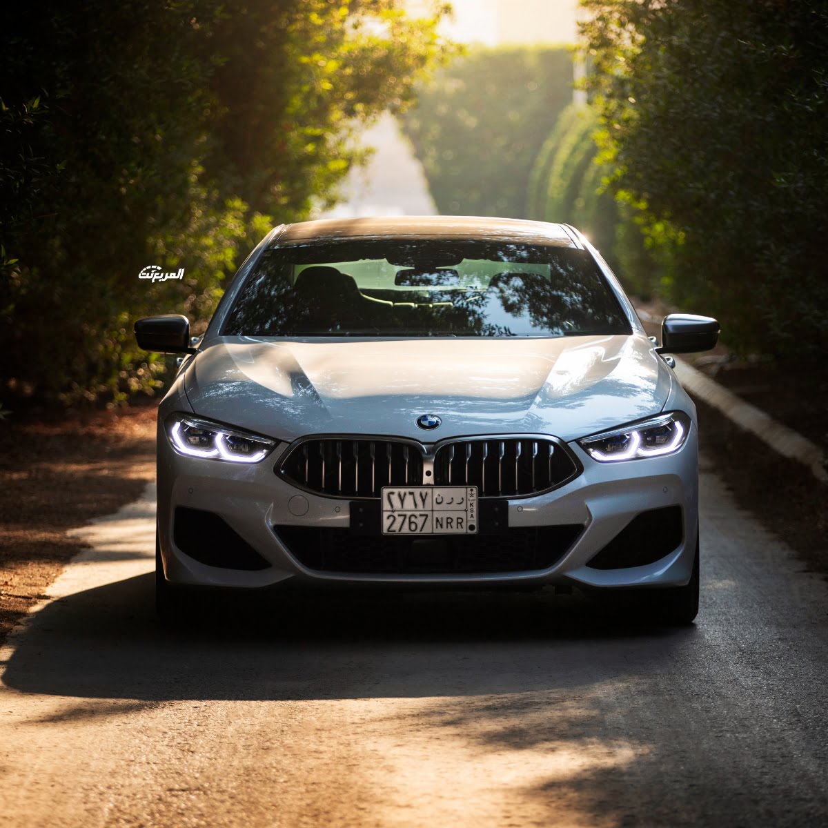 بي ام دبليو الفئة الثامنة جران كوبيه 850i في جلسة تصوير خاصة “37 صورة” BMW 850i Gran Coupe بي ام دبليو الفئة الثامنة جران كوبيه 850i في جلسة تصوير خاصة “37 صورة” BMW 850i Gran Coupe 11