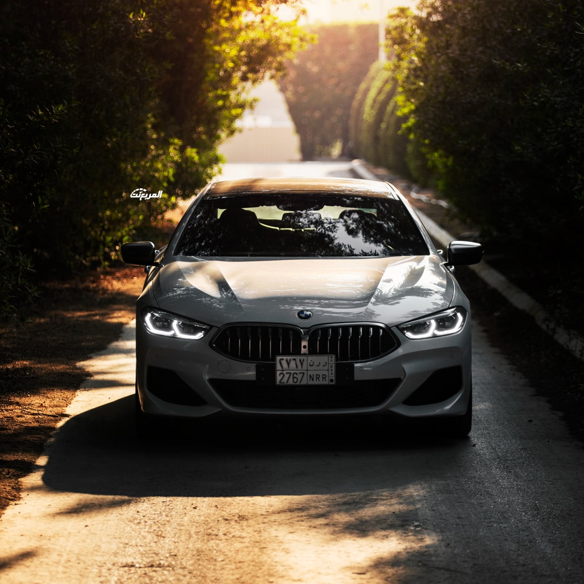 بي ام دبليو الفئة الثامنة جران كوبيه 850i في جلسة تصوير خاصة “37 صورة” BMW 850i Gran Coupe بي ام دبليو الفئة الثامنة جران كوبيه 850i في جلسة تصوير خاصة “37 صورة” BMW 850i Gran Coupe 10