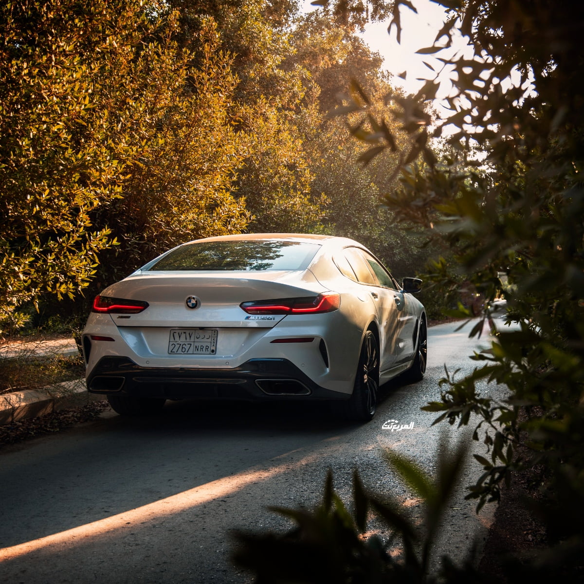 بي ام دبليو الفئة الثامنة جران كوبيه 850i في جلسة تصوير خاصة “37 صورة” BMW 850i Gran Coupe بي ام دبليو الفئة الثامنة جران كوبيه 850i في جلسة تصوير خاصة “37 صورة” BMW 850i Gran Coupe 9