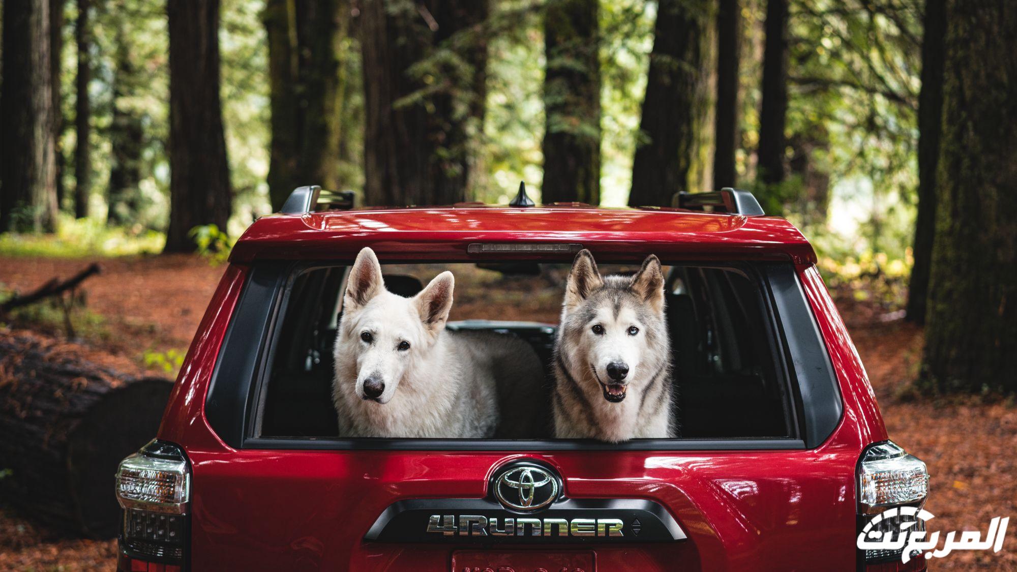 تويوتا فور رانر 2024 الجديدة بجميع الفئات والأسعار المتوفرة وأبرز العيوب والمميزات تويوتا فور رانر 2024 الجديدة بجميع الفئات والأسعار المتوفرة وأبرز العيوب والمميزات 17