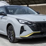 دونج-فينج-شانج-2024-المربع-نت-19