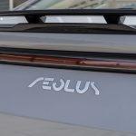 دونج-فينج-شانج-2024-المربع-نت-24