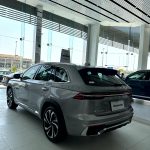 جيلي-مونجارو-المربع-نت-57