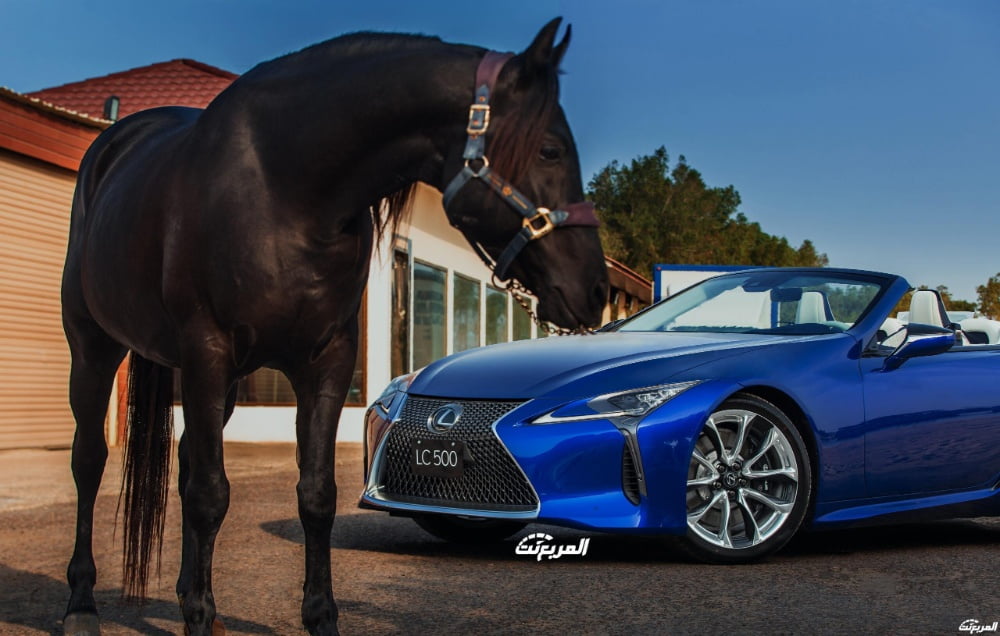 فئات لكزس LC 2024 مع اسعارها وأبرز المواصفات والتقنيات لدى الوكيل فئات لكزس LC 2024 مع اسعارها وأبرز المواصفات والتقنيات لدى الوكيل 49