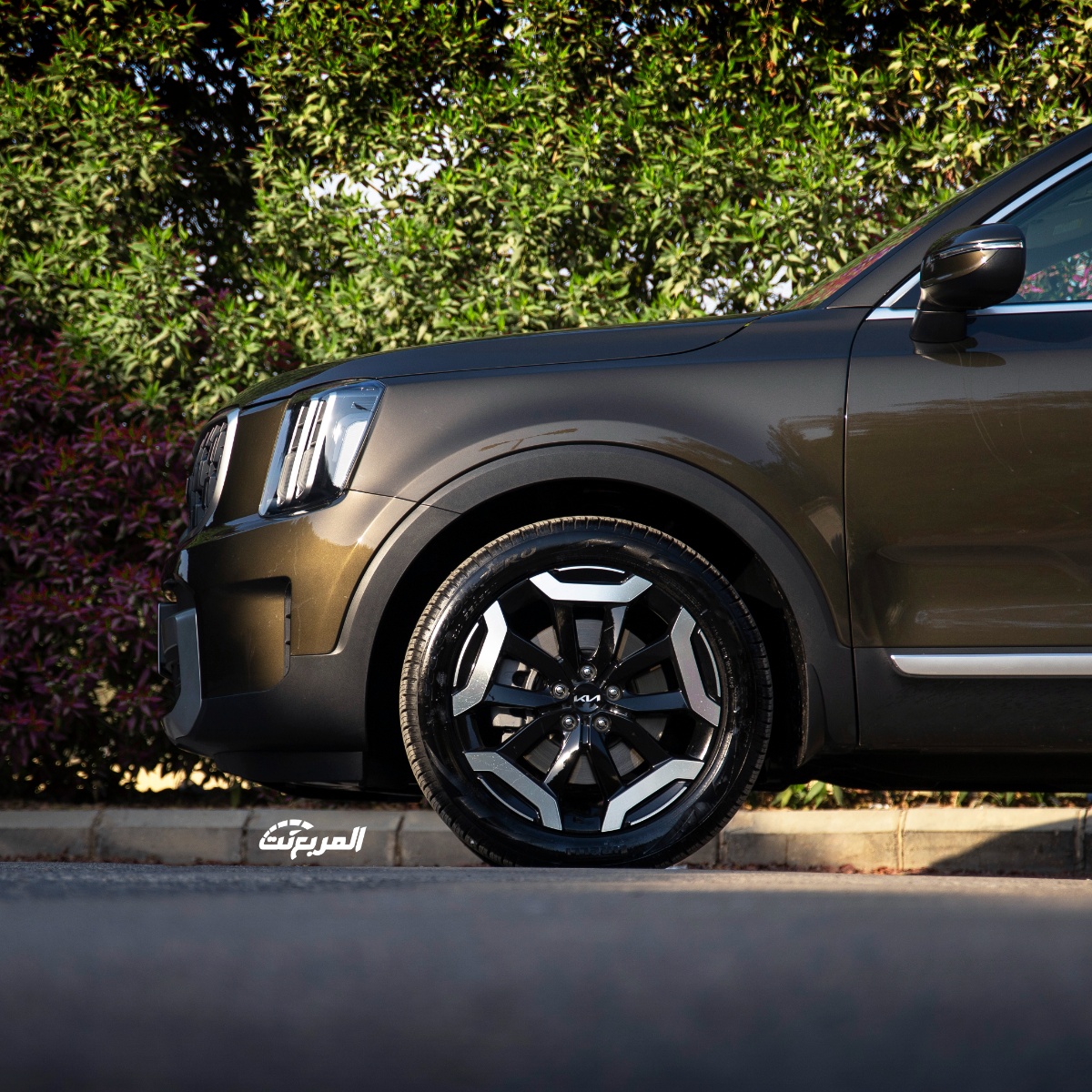 كيا-تيلورايد-المربع-نت-9-2