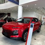 جيتور-داشينج-المربع-نت-19