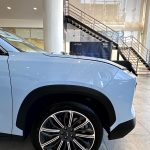 جيتور-داشينج-المربع-نت-9