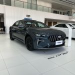 جيلي-بريفيس-2024-14