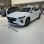 جيلي-بريفيس-2024-4