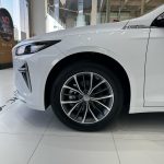 جيلي-بريفيس-2024-5