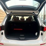 رينو-كوليوس-المربع-نت-40