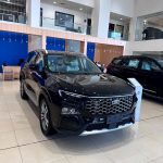 فورد-تيريتوري-المربع-نت-1-2