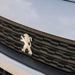 بيجو-بارتنر-المربع-نت-14