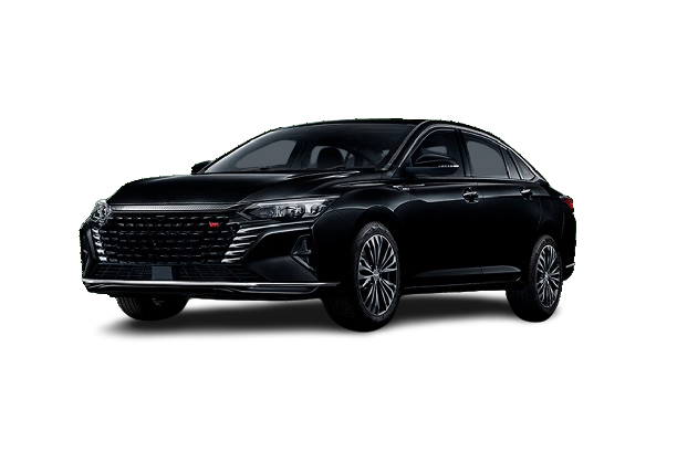 دونج فينج شاين ماكس E2