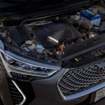 هافال-جوليان-المربع-نت-10-2