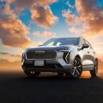 هافال-جوليان-المربع-نت-22-2